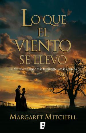 Cover of the book Lo que el viento se llevó by Pierdomenico Baccalario