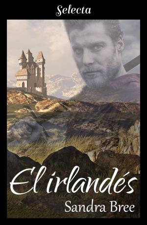 Cover of the book El irlandés by Dulce Chacón