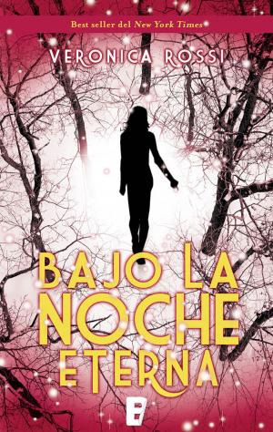 Cover of the book Bajo la noche eterna (Cielo Eterno 2) by María Luz Gómez