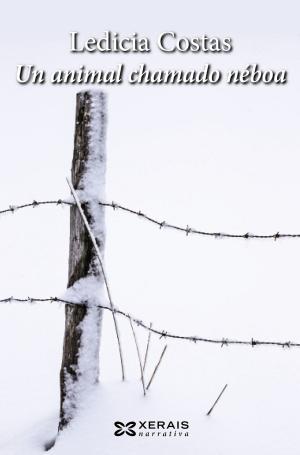 Cover of the book Un animal chamado néboa by María Reimóndez