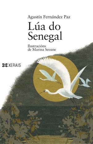 Cover of the book Lúa do Senegal by Ramón Caride