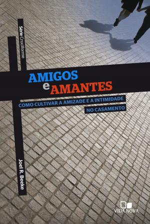 Cover of the book Amigos e amantes by Timothy Keller