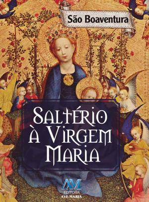 Cover of the book Saltério à Virgem Maria by Padre Luís Erlin CMF