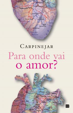 Cover of Para onde vai o amor? by Fabrício Carpinejar, Bertrand