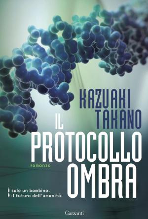 Cover of the book Il Protocollo ombra by Katharina Hagena