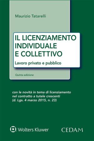 Cover of the book Il licenziamento individuale e collettivo by TESORIERE GIOVANNI
