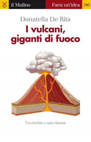 Cover of the book I vulcani, giganti di fuoco by Federico, Bonaglia, Andrea, Goldstein