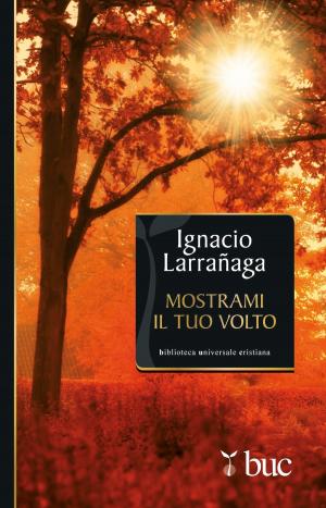 Cover of the book Mostrami il tuo volto. Verso l'intimità con Dio by Carlo Maria Martini