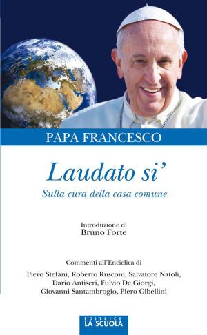 Cover of the book Laudato si' by Tiziano Terzani
