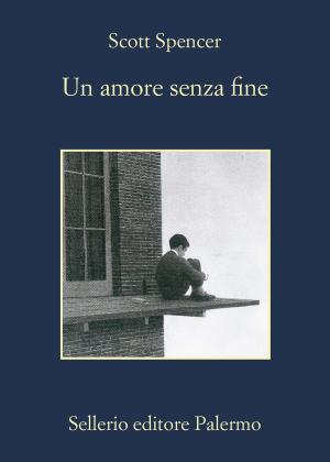 Cover of the book Un amore senza fine by Francesco Recami