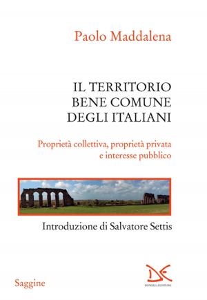 Cover of the book Territorio, bene comune degli italiani by Paolo Berdini