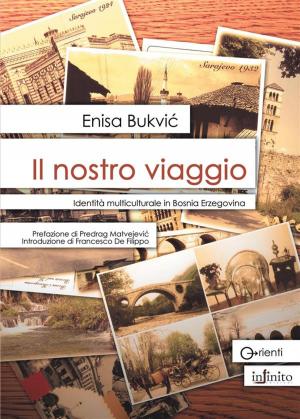 Cover of the book Il nostro viaggio by Daniele Scaglione, Francesco Moser