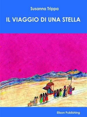 Cover of Il viaggio di una stella