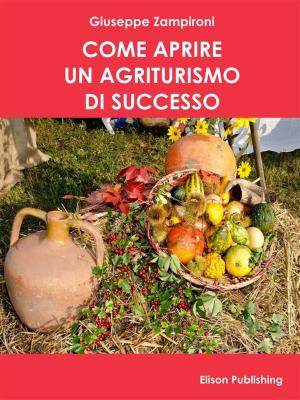 Cover of the book Come aprire un agriturismo di successo by Ayelet Pianaro