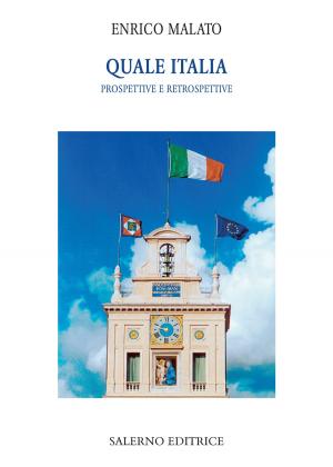 Cover of the book Quale Italia by Pino Casamassima