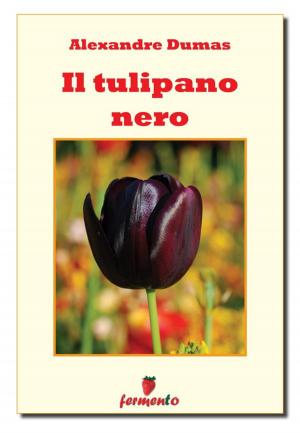 Cover of the book Il tulipano nero by Jules Verne