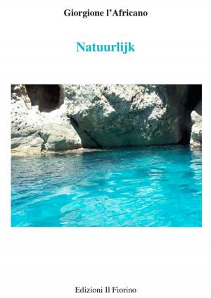 Cover of the book Natuurlijk by Nino il Calatino