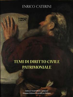 Book cover of Temi di Diritto Civile Patrimoniale