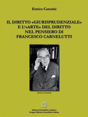 Book cover of Il diritto «giurisprudenziale» e l’«arte» del diritto nel pensiero di Francesco Carnelutti