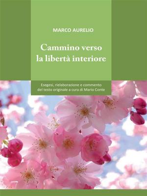 Cover of the book Cammino verso la libertà interiore by Tiziano Katzenhimmel, tiziano katzenhimmel