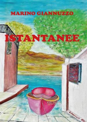 Cover of the book Istantanee by FRATEL PISQUANO (Sergio Sarri)
