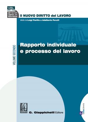 Cover of the book Rapporto individuale e processo del lavoro by Andrea Maria Azzaro