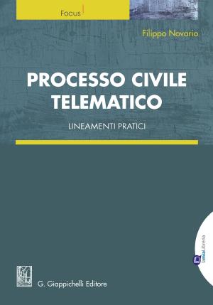 Cover of the book Processo civile telematico by Marcella Negri