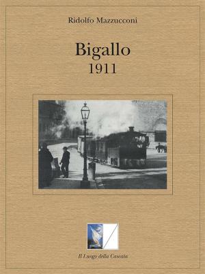 Cover of Bigallo 1911