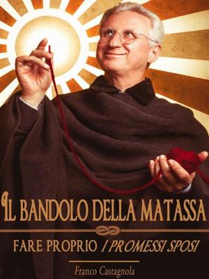 Book cover of Il bandolo della matassa
