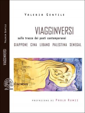 Cover of the book Viagginversi by Pippa Jay
