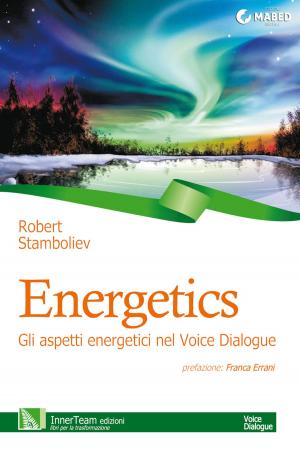 Cover of the book Energetics by Luca Basso