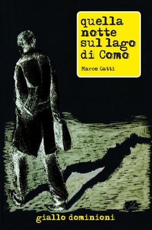 Cover of the book Quella notte sul lago di Como by William Shakespeare