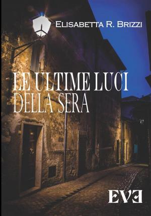 Cover of the book Le ultime luci della sera by Patrizia Petruccione