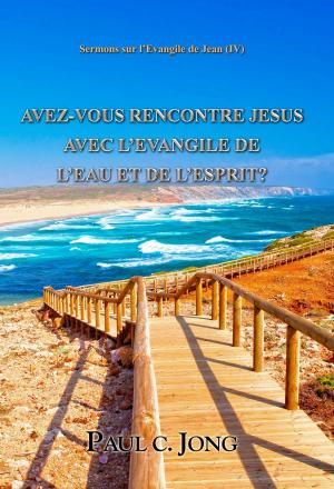 Book cover of AVEZ-VOUS RENCONTRE JESUS AVEC L’EVANGILE DE L’EAU ET DE L’ESPRIT? - Sermons sur l’Evangile de Jean (IV)