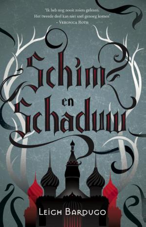 Cover of the book Schim & Schaduw by Kerstin Gier