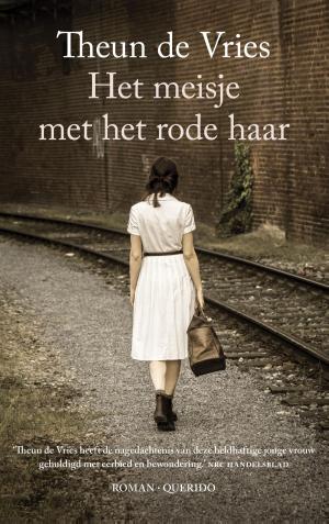 Cover of the book Het meisje met het rode haar by Rascha Peper