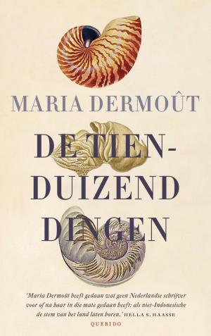 Cover of the book De tienduizend dingen by Jan-Willem Anker