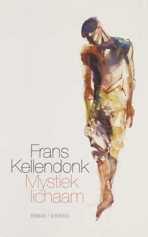 Cover of the book Mystiek lichaam by Sylvain Tesson