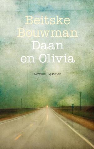 Cover of the book Daan en Olivia by Krijn van der Jagt