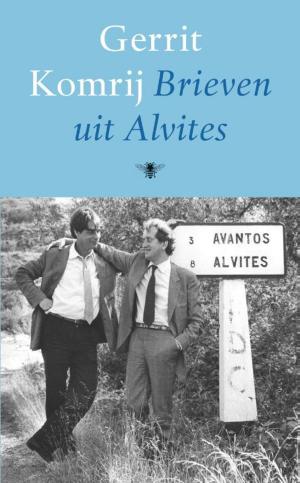 Cover of the book Brieven uit Alvites by Johan Goossens