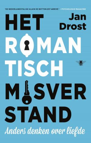 Cover of the book Het romantisch misverstand by Marten Toonder