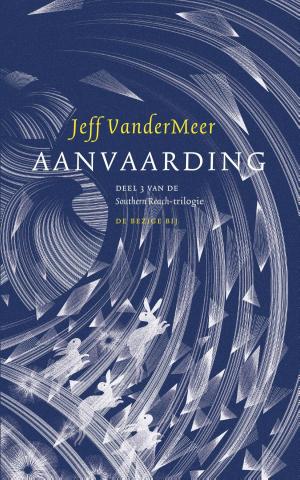 Cover of the book Aanvaarding by Daan Borrel