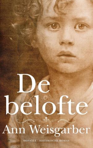 Cover of the book De belofte by Finn Zetterholm