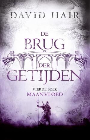 Cover of the book De Brug der Getijden 4 - Maanvloed by Adrian Stone