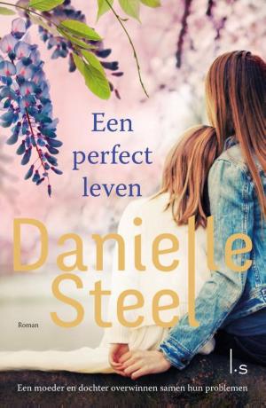 Cover of the book Een perfect leven by Mathilde Hoekstra
