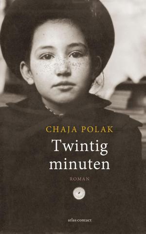 Cover of the book Twintig minuten by Stefan Brijs