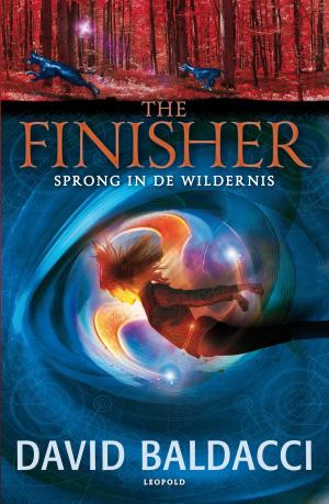 Cover of the book Sprong in de wildernis by Brandon Mull, Garth Nix, Sean Williams