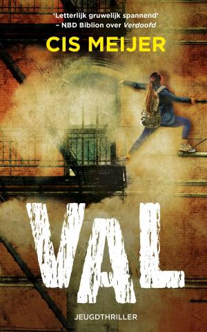 Cover of the book Val by Brett Michael Innes