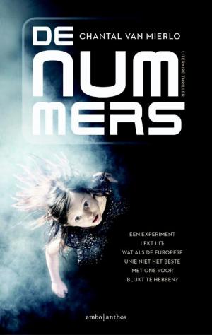 Cover of the book De nummers by Bill McGrath
