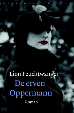 Cover of the book De erven Opperman by Paulus Hochgatterer